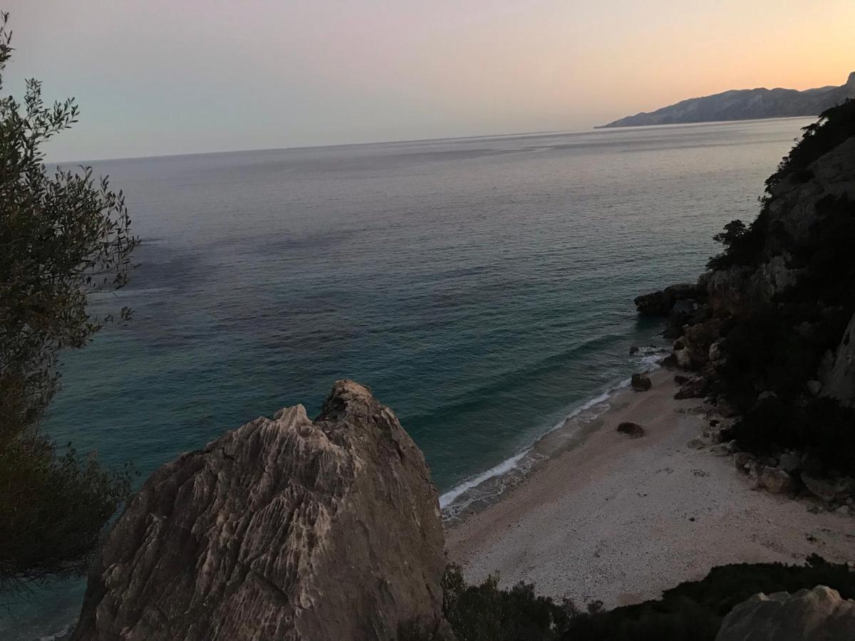 belvedere acqua dolce 1 Cala Gonone Esterno foto