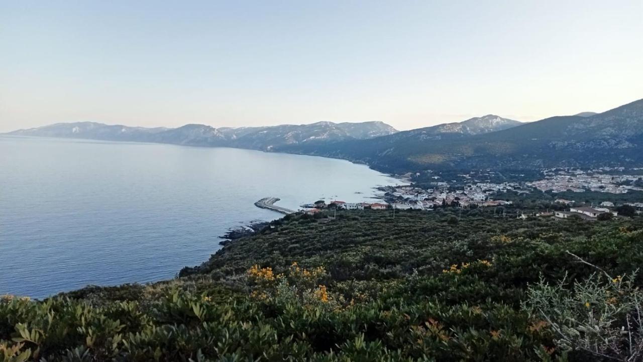 belvedere acqua dolce 1 Cala Gonone Esterno foto