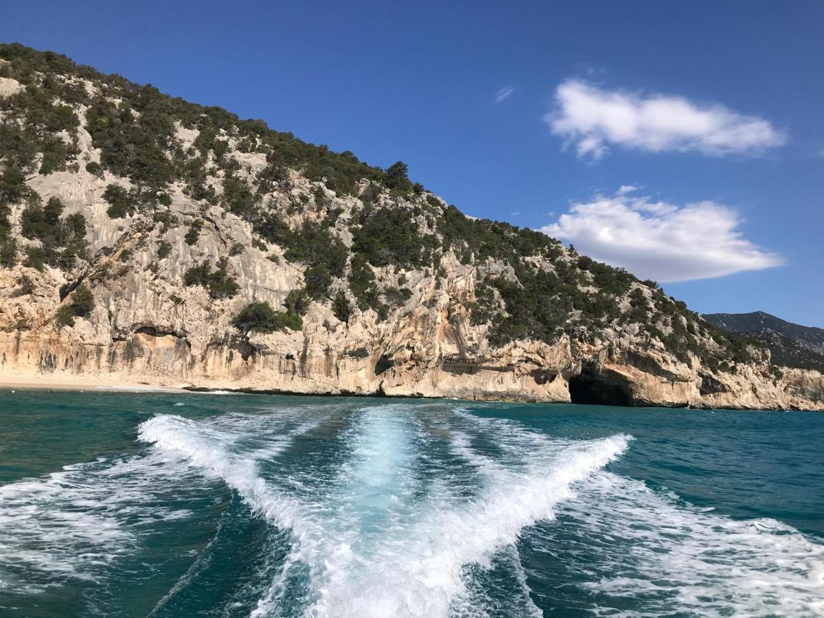belvedere acqua dolce 1 Cala Gonone Esterno foto
